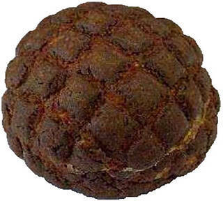 今週新発売のホイップまとめ！