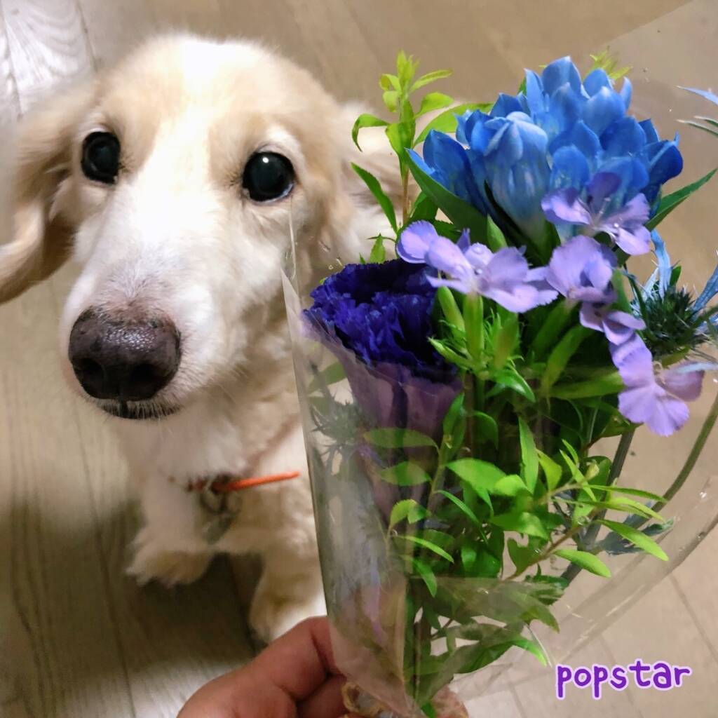 【最新版】クリーミーなアイスの人気ランキングのおすすめTOP3！