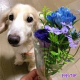 「【最新版】クリーミーなアイスの人気ランキングのおすすめTOP3！」の画像8