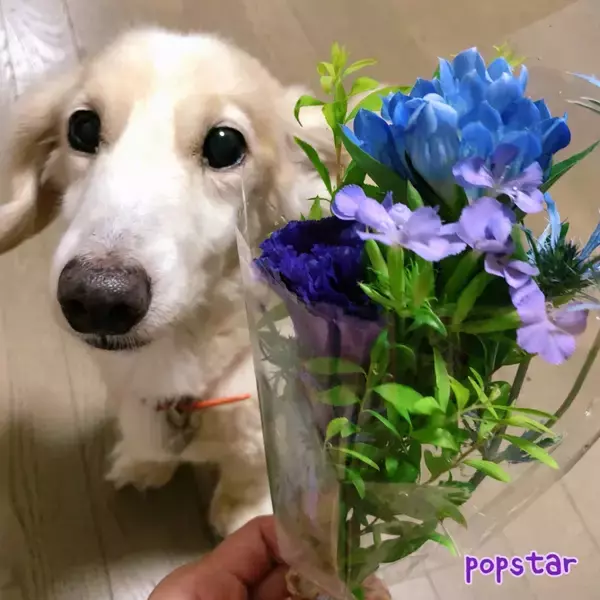 「【最新版】クリーミーなアイスの人気ランキングのおすすめTOP3！」の画像