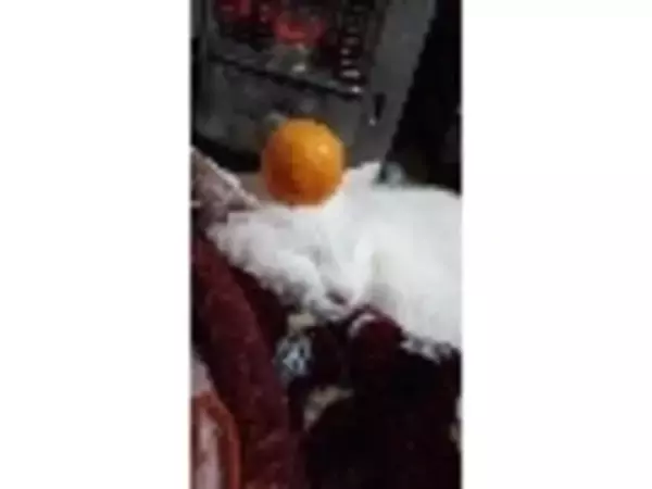 「2021年上半期スイーツの人気TOP3！」の画像