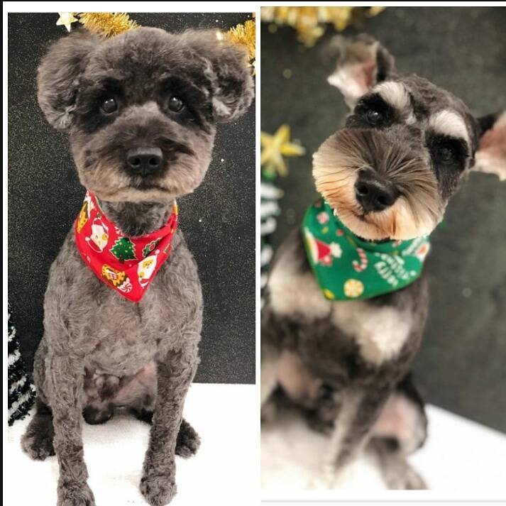 【最新版】濃厚な風味がいい！発酵バター系コンビニスイーツ人気ランキングのおすすめTOP3！