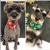 「【最新版】濃厚な風味がいい！発酵バター系コンビニスイーツ人気ランキングのおすすめTOP3！」の画像6