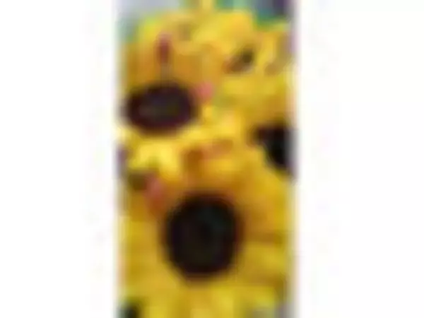 「濃厚でちょっと大人な味がクセになる♪『ティラミス系コンビニスイーツ』のおすすめ人気ランキングTOP3！」の画像