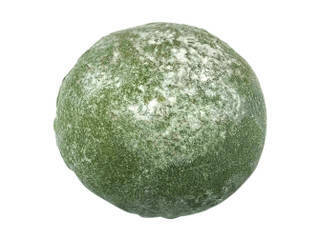 コンビニで買える！大福のトレンド人気ランキング！