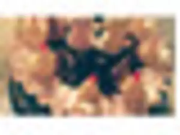 「可愛くてテンションが上がる♪『カラフル系チョコレート』のトレンド「食べたい」人気ランキング」の画像