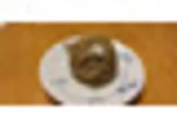 「流行りはナマ！？“生”菓子パンのトレンド人気ランキング！」の画像