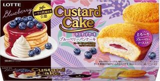 今週新発売のケーキまとめ！『カスタードケーキ　ブルーベリーパンケーキ』、『ふわふわケーキサンド　プリン』など♪