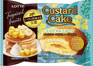 今週新発売のケーキまとめ！『カスタードケーキ　ブルーベリーパンケーキ』、『ふわふわケーキサンド　プリン』など♪