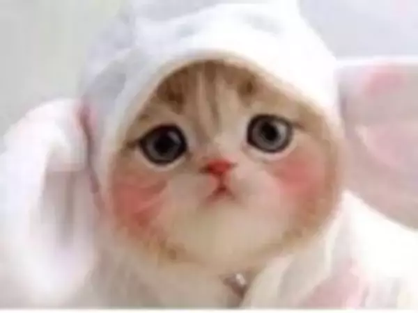 「【2026年4月第3週】アイス・コンビニアイスランキング1位はハーゲンダッツ クリスピーサンド ザ・グリーンティー！抹茶＆新商品続々まとめ」の画像