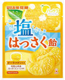 「今週新発売の塩味まとめ！『三島のゆかり使用　塩焼そば』、『レモン香るなめらかレアチーズ』など♪」の画像4