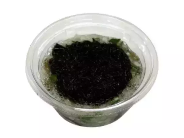 「今週新発売の大根まとめ！『ミニ越前おろしそば』、『冬のミネストローネ』など♪」の画像