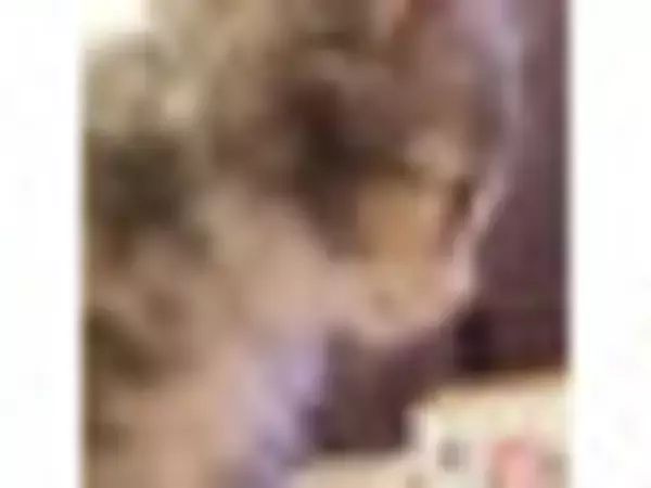 「今しか食べられない！？『期間限定ドーナツ』の「おいしい」人気ランキングTOP3」の画像