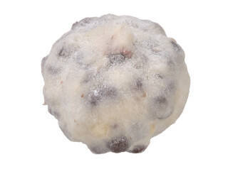 今週新発売の塩味まとめ！『山椒香る　帆立だし塩そば』、『ナッツボン　塩バター味』など♪