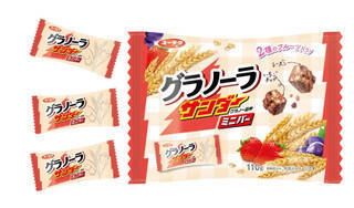 今週新発売のチョコレート味