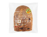 「今週新発売の食パン・ロールパンまとめ！『石窯シトラス＆ベリー』、『国産小麦　たっぷりくるみパン』など♪」の画像2