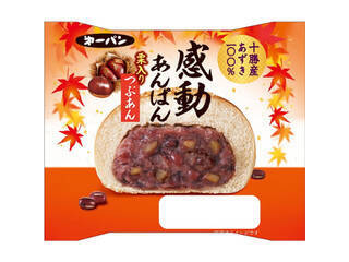 あんぱんも秋の味！おすすめTOP3！