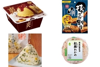 今週新発売のベストフードまとめ！『爽　贅沢濃蜜プリン』、『技のこだ割り　和風だしカレー味』など♪