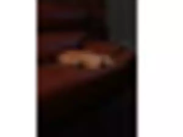 「2月のローソンスイーツ！おすすめTOP3！」の画像