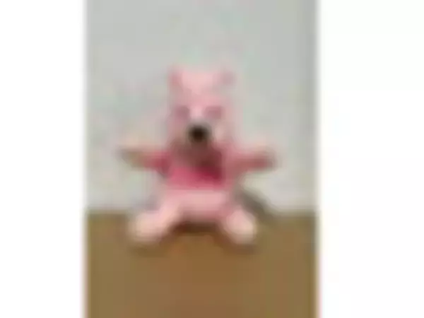 「いも・栗・かぼちゃ！秋のスイーツのおすすめTOP3！」の画像