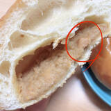 「クリームパンのトレンド人気ランキング！」の画像6