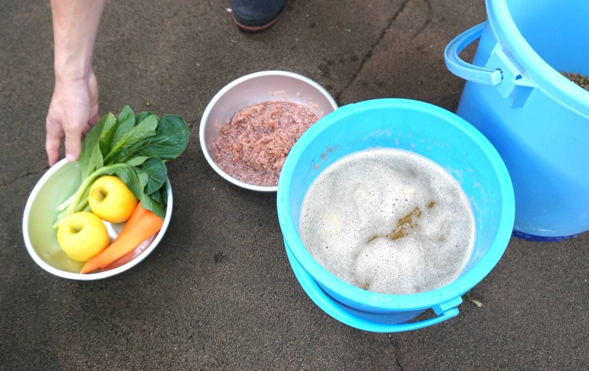 年間収入14万円の動物園　食べ残しをビールに変えて稼ぐ実験が始まった