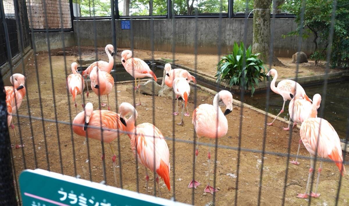 年間収入14万円の動物園　食べ残しをビールに変えて稼ぐ実験が始まった