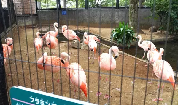「年間収入14万円の動物園　食べ残しをビールに変えて稼ぐ実験が始まった」の画像