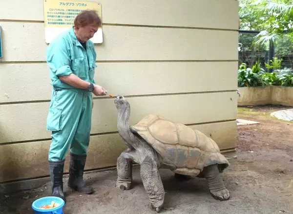 「年間収入14万円の動物園　食べ残しをビールに変えて稼ぐ実験が始まった」の画像