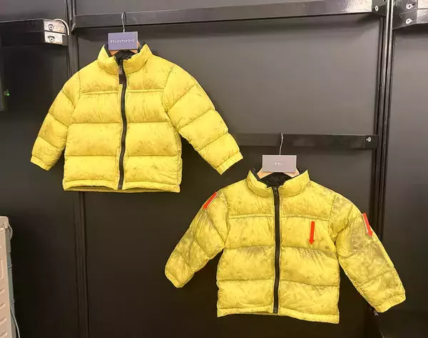 「パナソニック、新型ドラム式洗濯乾燥機は「ダウンジャケット専用コース」　羽がよらずふわふわピカピカに」の画像