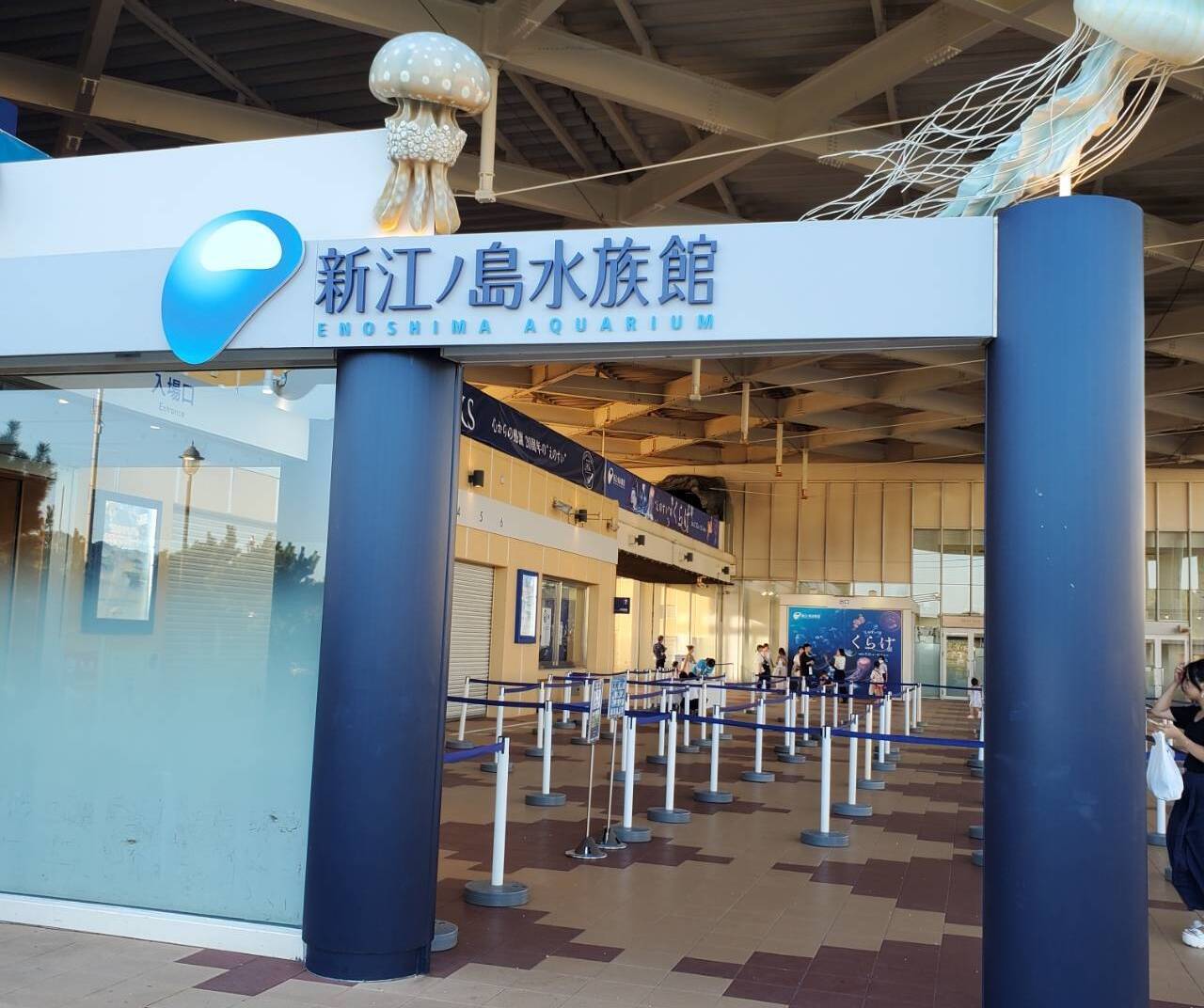 知られざる魚たちの傷の直し方 ニチバン開催親子イベントで、海の生物のケガ治療から人間のケガを考える