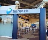 「知られざる魚たちの傷の直し方 ニチバン開催親子イベントで、海の生物のケガ治療から人間のケガを考える」の画像2