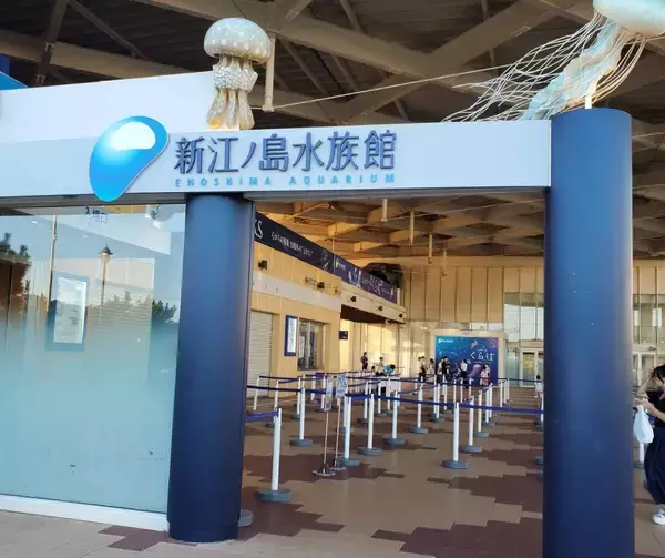 「知られざる魚たちの傷の直し方 ニチバン開催親子イベントで、海の生物のケガ治療から人間のケガを考える」の画像