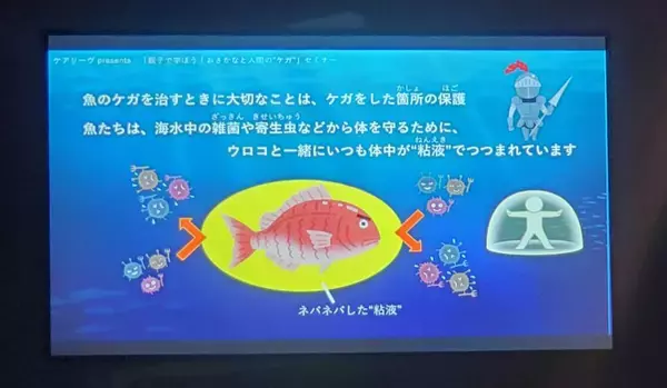 「知られざる魚たちの傷の直し方 ニチバン開催親子イベントで、海の生物のケガ治療から人間のケガを考える」の画像