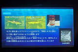 「知られざる魚たちの傷の直し方 ニチバン開催親子イベントで、海の生物のケガ治療から人間のケガを考える」の画像5