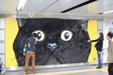 「渋谷の5メートル巨大ネコをモフモフしてみた！ クロネコヤマトの立体看板、毛がフカフカで抱きつくと超気持ちいい！」の画像1