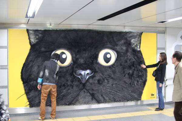 渋谷の5メートル巨大ネコをモフモフしてみた！ クロネコヤマトの立体看板、毛がフカフカで抱きつくと超気持ちいい！