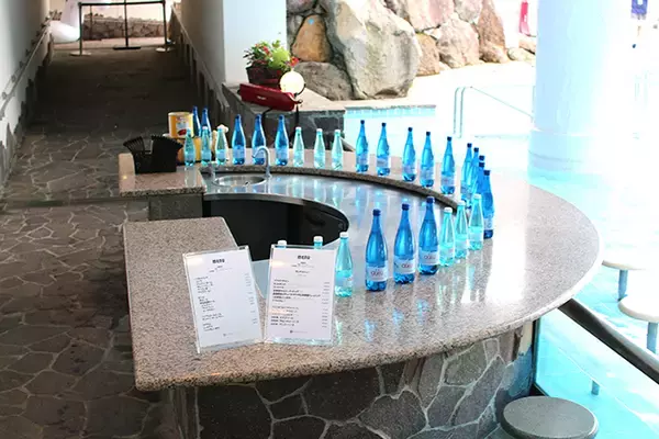 「ロッテアライリゾートは外国人が憧れる人気リゾートホテル 冬も夏も楽しめるアクティビティも充実」の画像