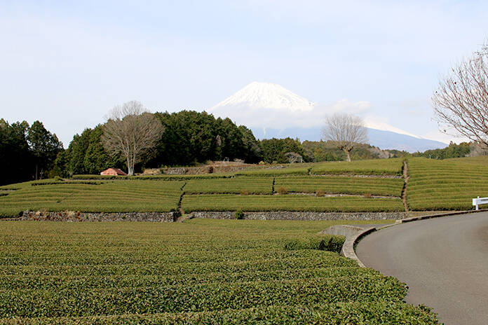 静岡県の富士山周辺、最強の観光スポットすべてめぐった！