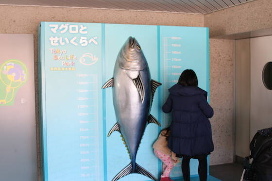 マグロ大量死の水族館が悲惨すぎる状況に 死の水槽 に老人呆然 泣く子まで 完全フォトレポート 2015年1月20日 エキサイトニュース