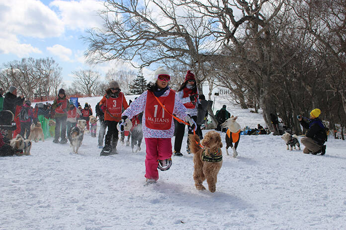 マウントジーンズ那須 犬と飼い主がゲレンデを走るスノードッグトレイルランレース大会が開催 19年2月日 エキサイトニュース 2 2