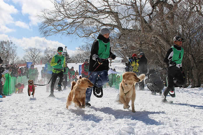 マウントジーンズ那須 犬と飼い主がゲレンデを走るスノードッグトレイルランレース大会が開催 19年2月日 エキサイトニュース 2 2