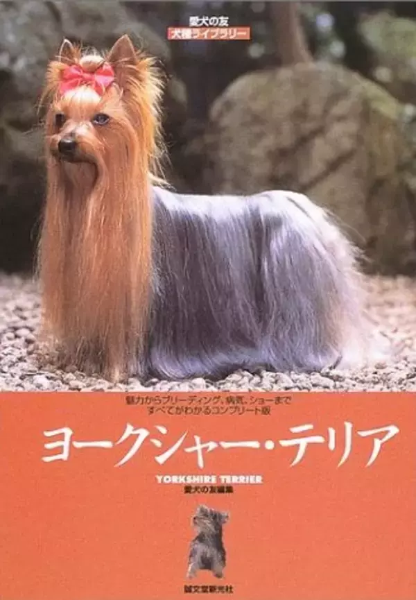 北朝鮮の動物園がヨークシャーテリアを珍獣として公開  話題騒然に