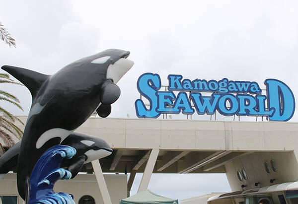 鴨川館は千葉房総で話題集める人気旅館 女性たちの癒やしの聖地と呼ばれる宿に泊まってみた 19年7月22日 エキサイトニュース