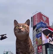 新宿駅前の巨大猫の前に、さらに巨大な猫が出現！？ Twitterに投稿された動画が話題に