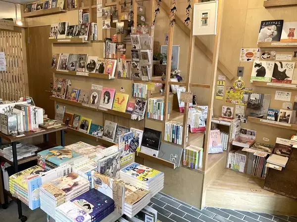 「漢字一文字でも出てくれば「猫本」。専門店が選ぶ、猫好きに読んでほしい「お金の本」」の画像