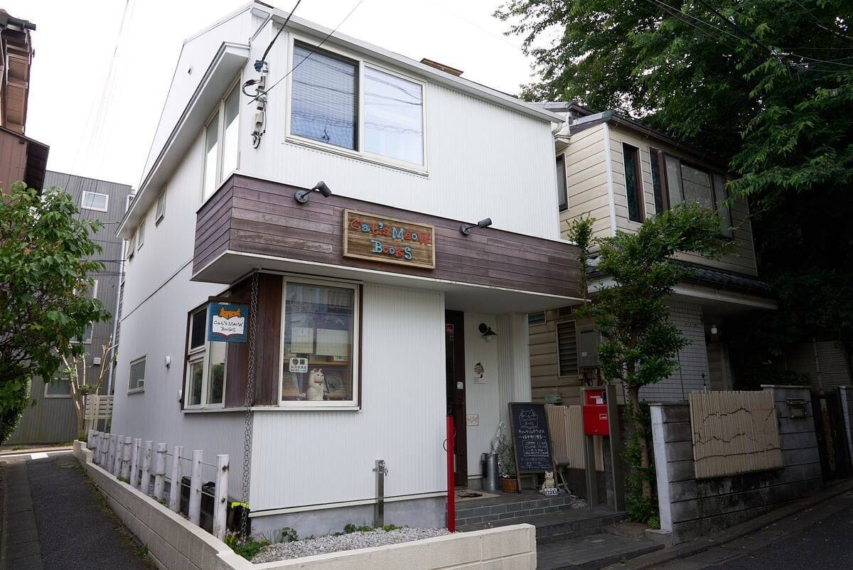 漢字一文字でも出てくれば「猫本」。専門店が選ぶ、猫好きに読んでほしい「お金の本」