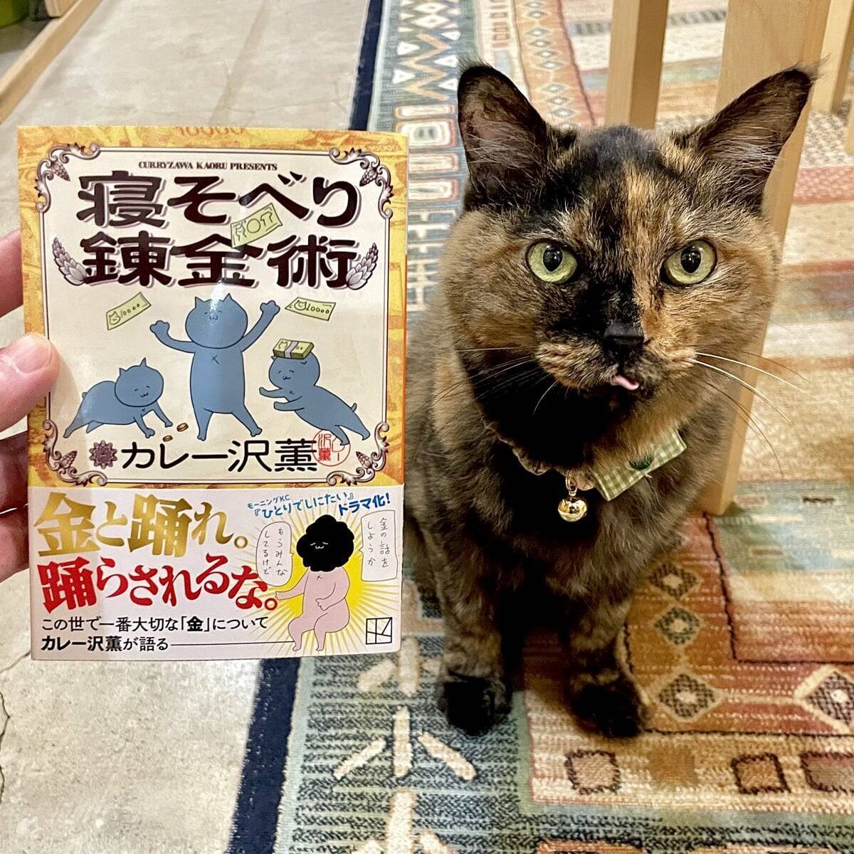 漢字一文字でも出てくれば「猫本」。専門店が選ぶ、猫好きに読んでほしい「お金の本」
