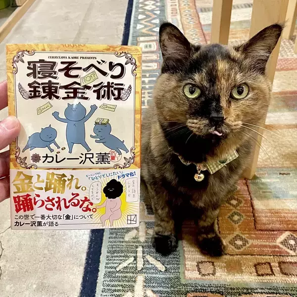 「漢字一文字でも出てくれば「猫本」。専門店が選ぶ、猫好きに読んでほしい「お金の本」」の画像