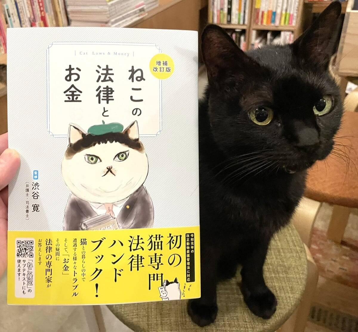 漢字一文字でも出てくれば「猫本」。専門店が選ぶ、猫好きに読んでほしい「お金の本」
